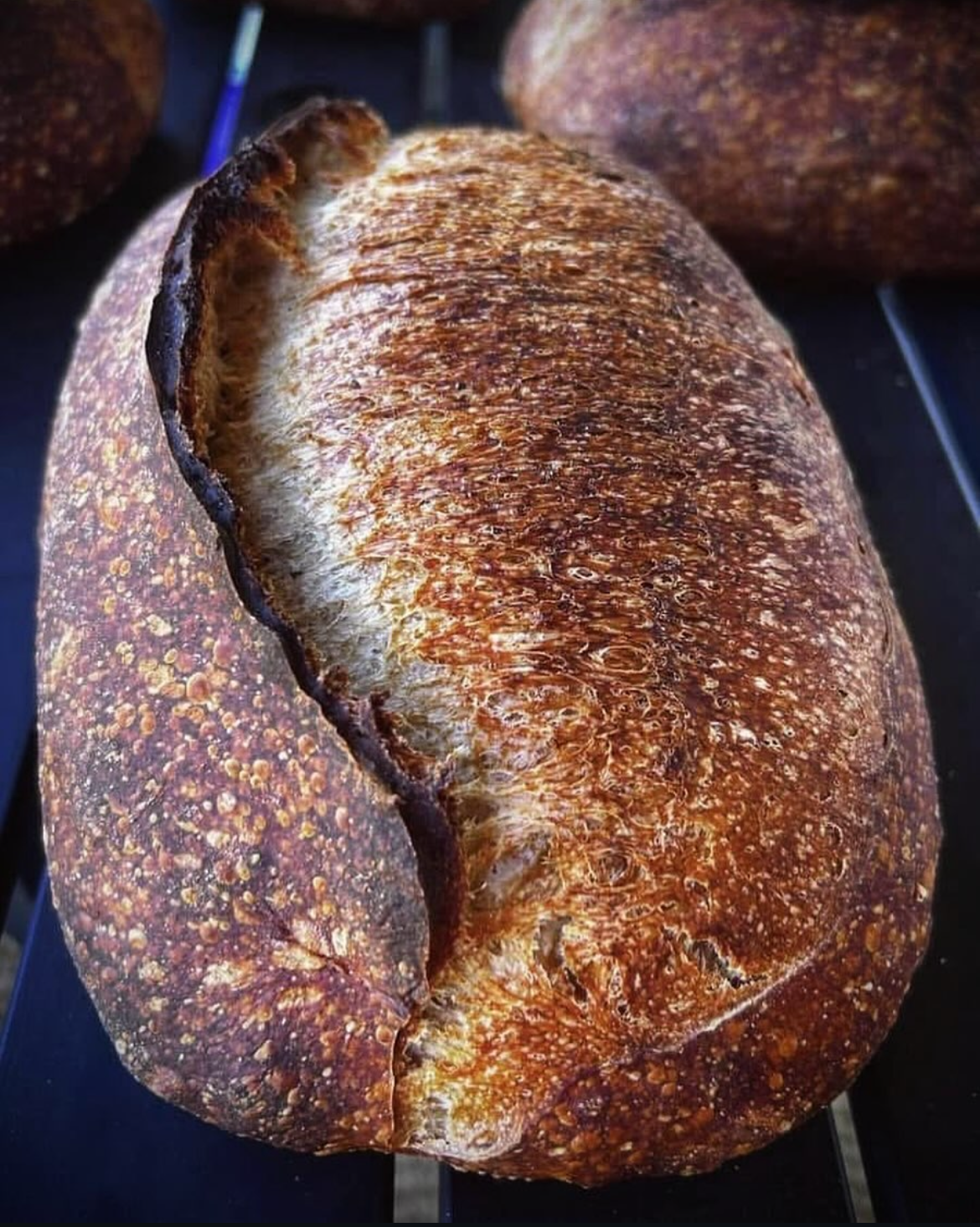 Makani Mills Country Loaf