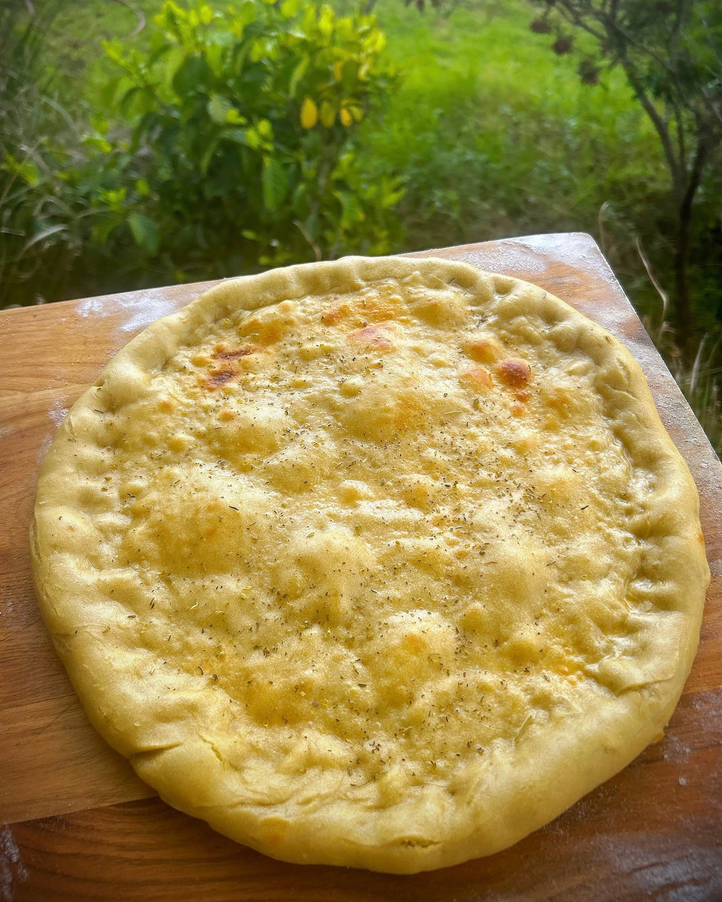 Par-baked Sourdough Pizza Crusts 12”