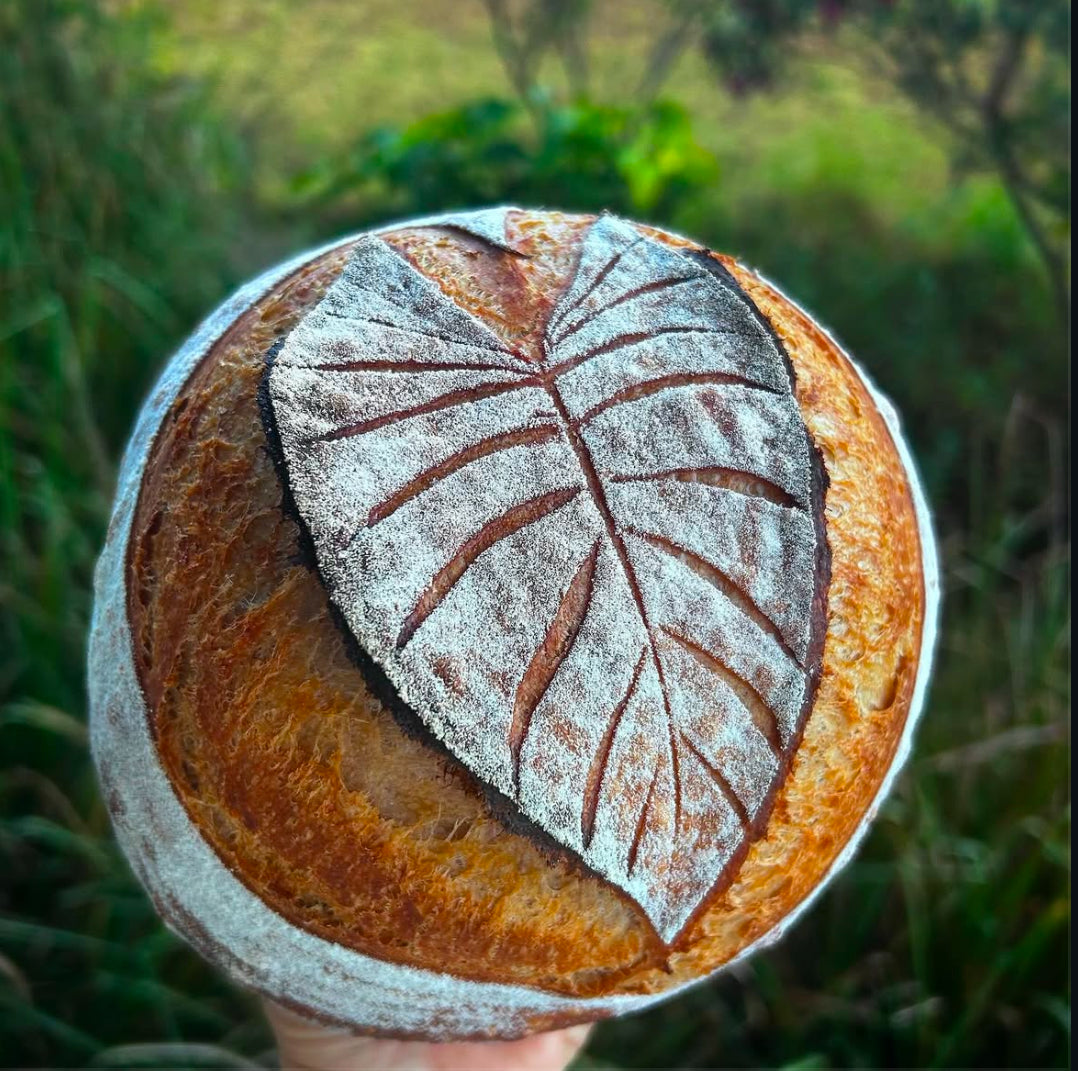 Taro Sourdough
