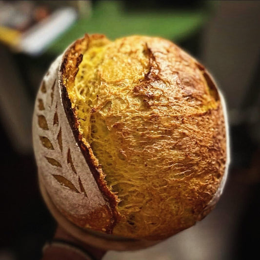 Black & Gold: ʻOlena, Black Pepper & toasted Nigella Seed